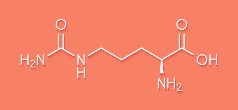proteina 1 e1550710816540